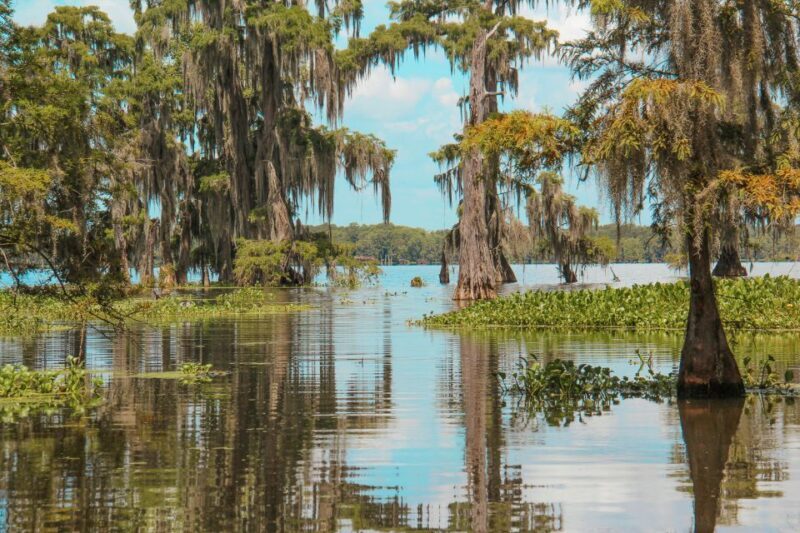 New Orleans: High Speed 9 Passenger Airboat Tour - Authenticity and Reviews: What Travelers Say