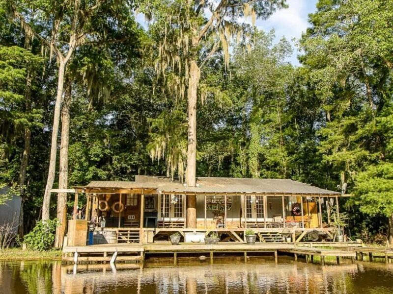 New Orleans: Honey Island Swamp Tour - FAQ: Your Honey Island Swamp Questions Answered