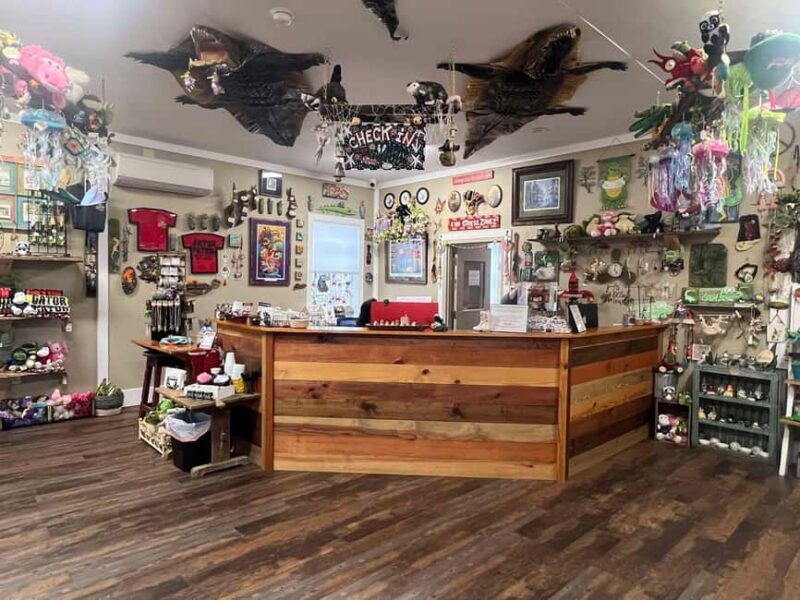 New Orleans Manchac Bayou Swamp Cruise W/ Optional Pick-Up - Who Would Love This Experience?