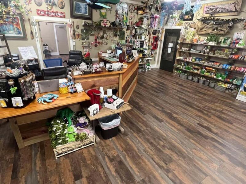 New Orleans Manchac Bayou Swamp Cruise W/ Optional Pick-Up - Experience Provider