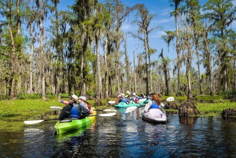 New Orleans: Manchac Magic Kayak Swamp Tour - Discovering Louisiana’s Swamp on a Kayak