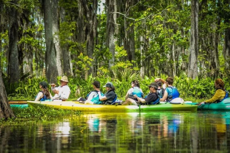 New Orleans: Manchac Magic Kayak Swamp Tour - Final Thoughts: Is It Worth It?