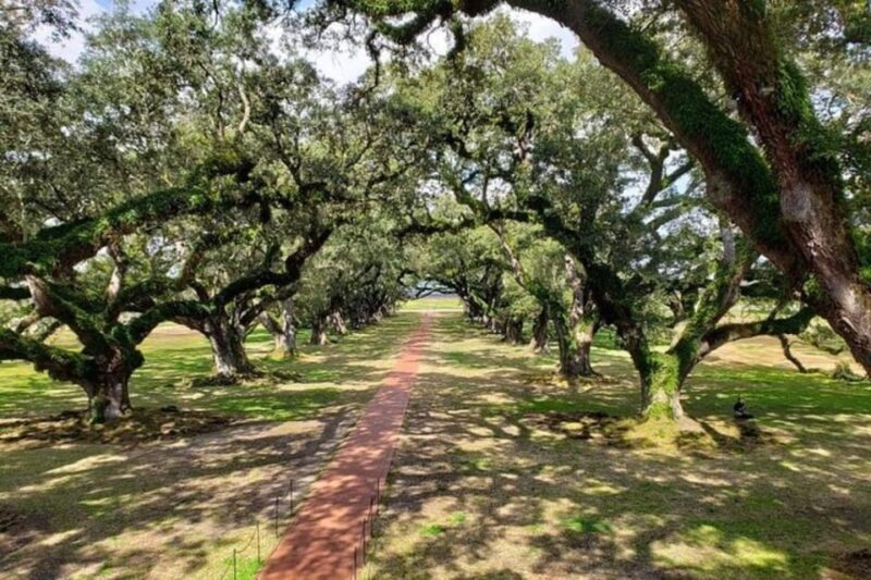 New Orleans: Oak Alley & Laura Plantation Tour w/Transport - Key Points
