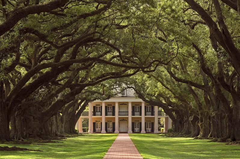 New Orleans: Oak Alley Plantation Half Day Tour - An In-Depth Look at the Oak Alley Plantation Half Day Tour