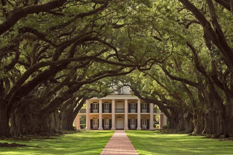 New Orleans: Oak Alley Plantation Half Day Tour - Final Thoughts