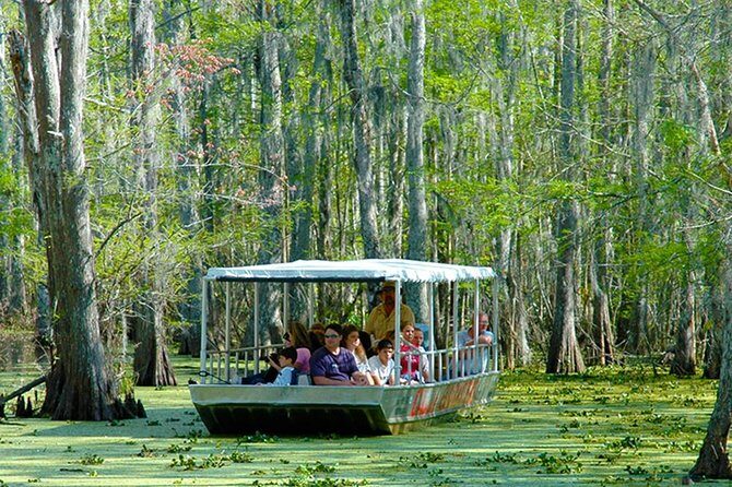 New Orleans Self-Transport Swamp and Bayou Boat Tour - Key Points