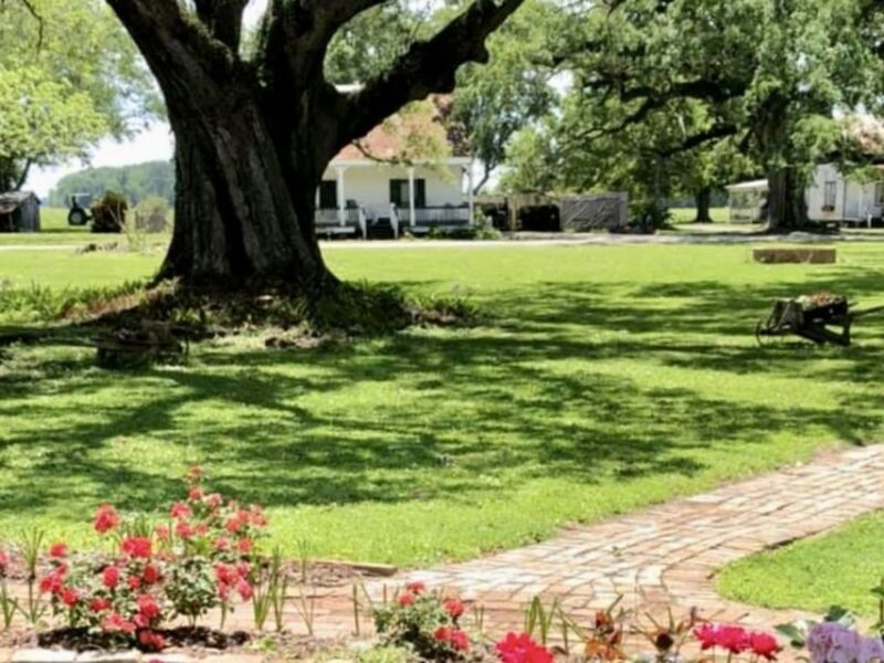 New Orleans: St. Joseph Plantation Guided Tour - The Sum Up