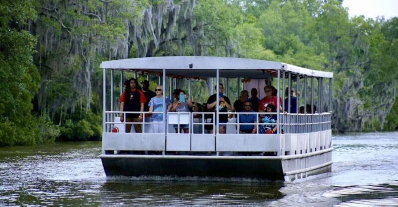 New Orleans: Swamp Tour on Covered Pontoon Boat - An Authentic Louisiana Experience: Swamp Tour on a Covered Pontoon Boat