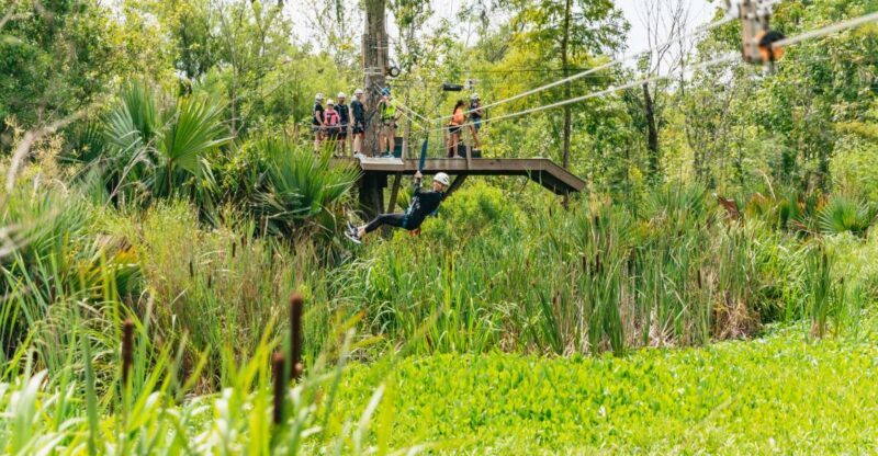 New Orleans: Swamp Zipline Tour - Final Thoughts