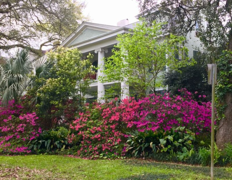 New Orleans: Traditional City and Estate Tour - Frequently Asked Questions