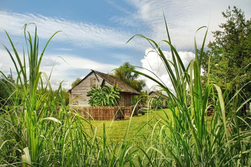 New Orleans: Whitney Plantation Tour with Transportation - FAQ