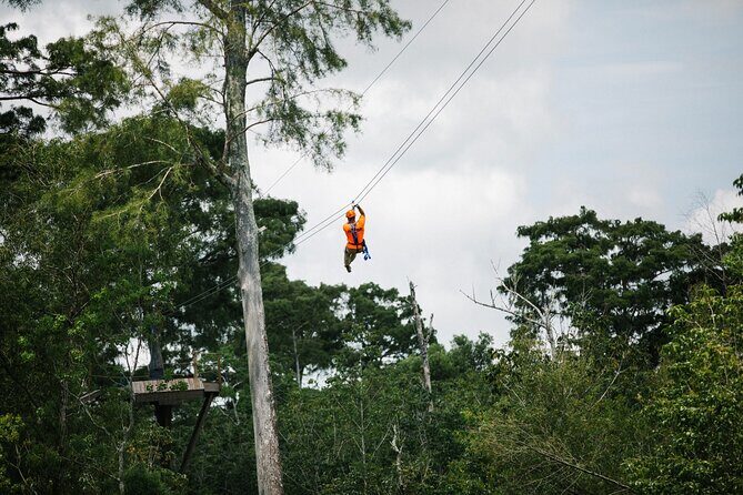 New Orleans Zipline Swamp Tour - The Location and Getting There