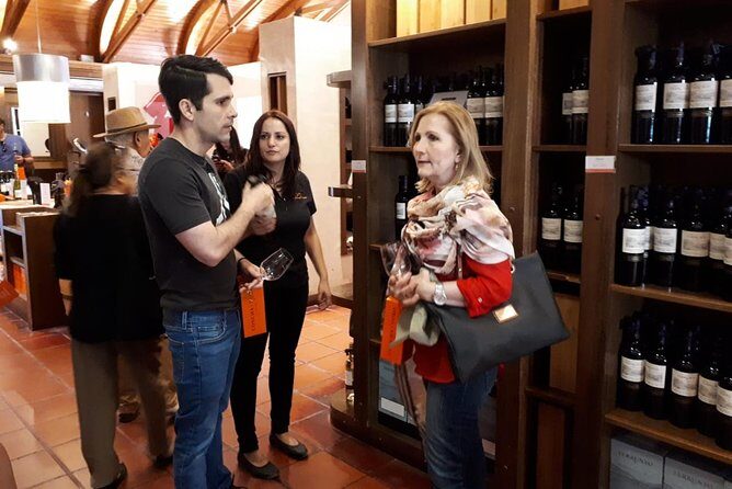 New Premium Concha y Toro Tour Includes winetasting & Transport - In-Depth Look at the Concha y Toro Premium Tour