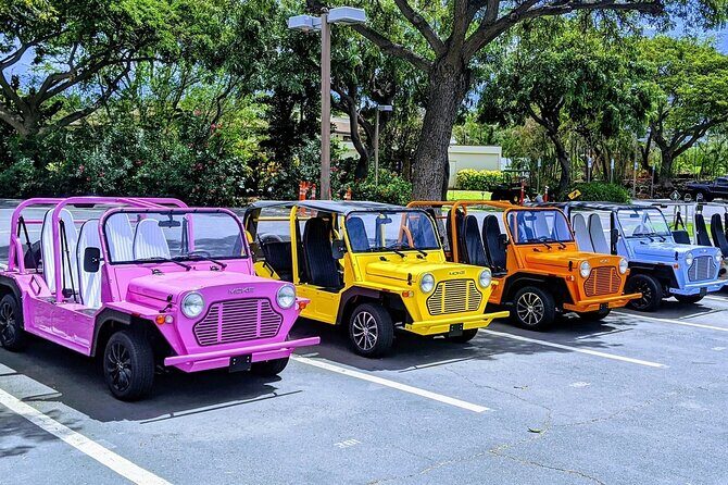 *** New Product *** Moke My Day Adventure Tour free WiFi - What to Expect from the Moke My Day Adventure Tour