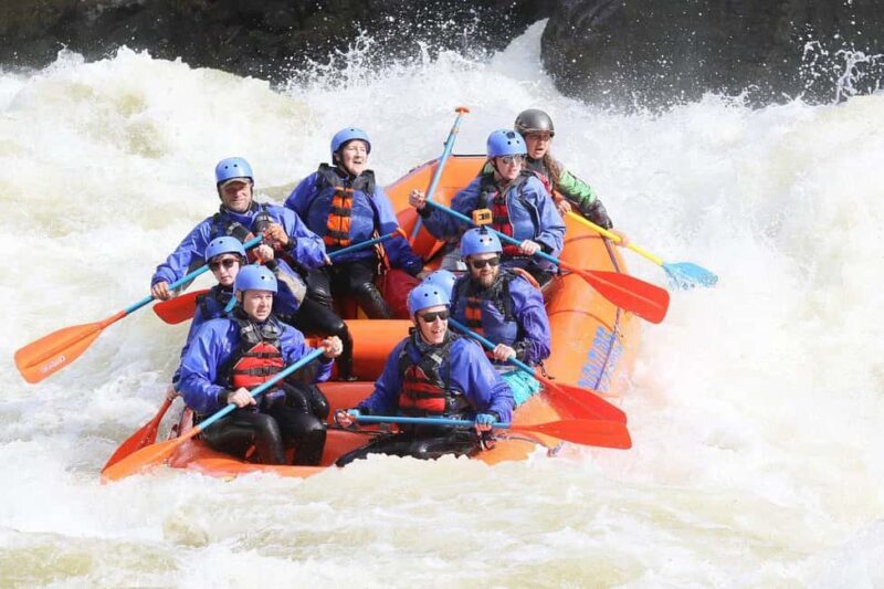 New River Gorge: Lower New River Full-Day Rafting Tour - What Makes This Tour Stand Out