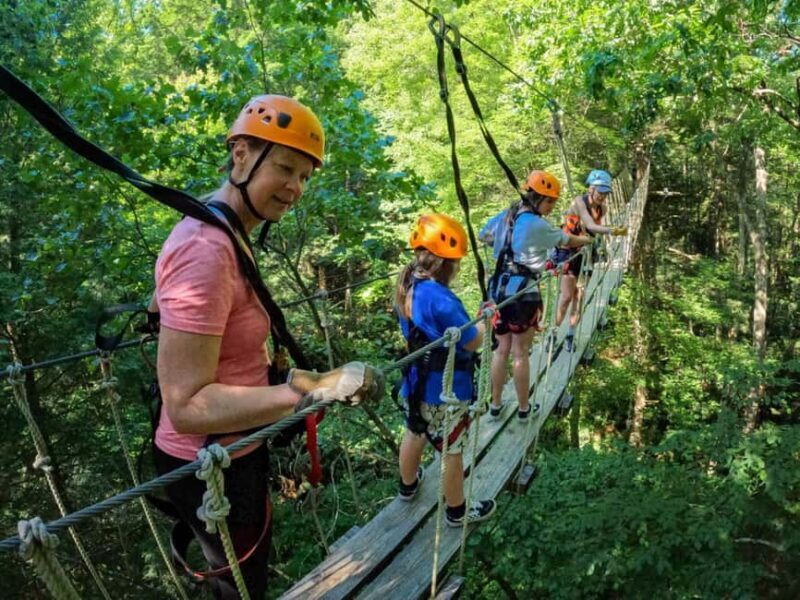 New River Gorge: TimberTrek Adventure Park Entry Ticket - An In-Depth Look at TimberTrek Adventure Park