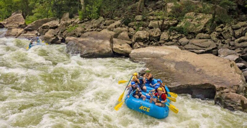 New River Gorge Whitewater Rafting - Lower New Full Day - Experience the Thrill of Whitewater Rafting in West Virginia’s New River Gorge