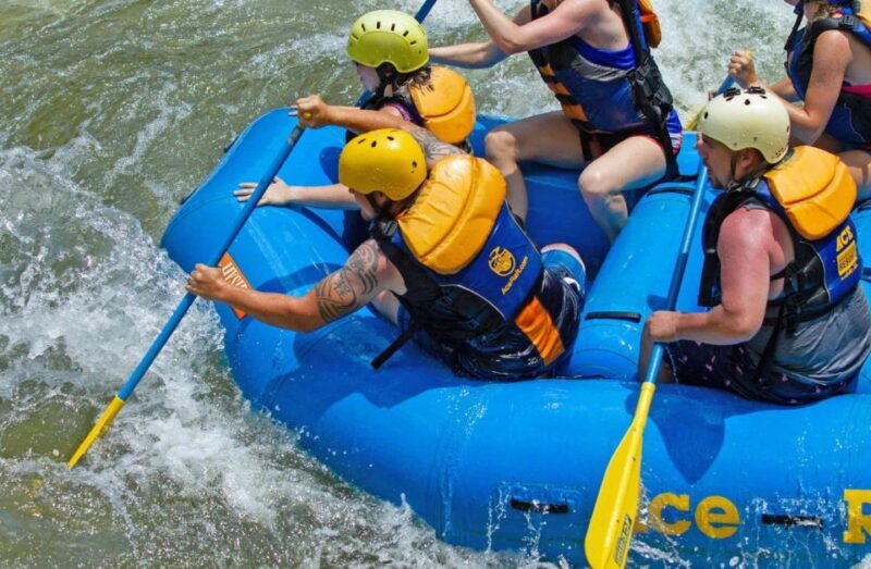 New River Gorge Whitewater Rafting - Lower New Half Day - An Honest Look at the Lower New Half-Day Whitewater Adventure