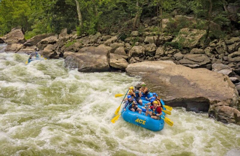 New River Gorge Whitewater Rafting - Lower New Half Day - FAQ