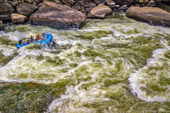 New River Gorge Whitewater Rafting, WV - Lower New Full Day - An In-Depth Look at the Lower New River Gorge Whitewater Trip