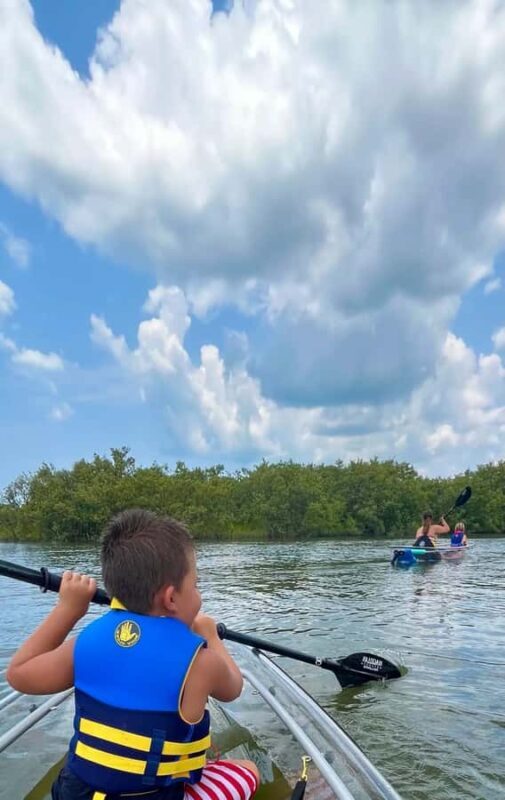 New Smyrna Beach: Guided Clear Kayak Tour with Wildlife - FAQ