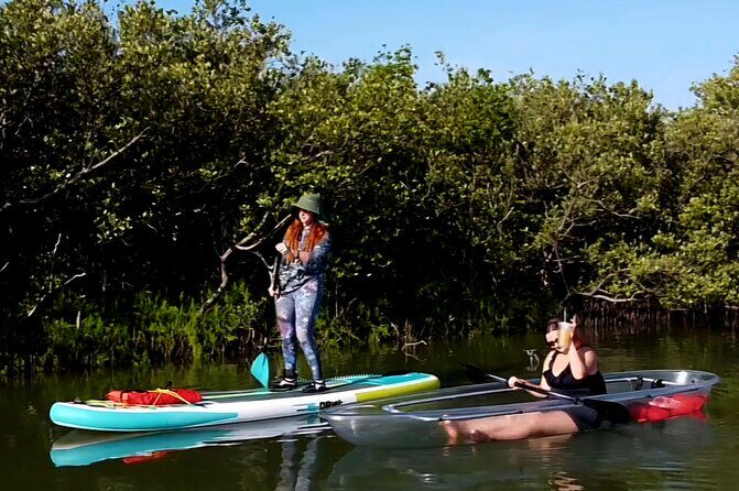 New Smyrna Mangrove Paddle & Mimosa Tour - Exploring the New Smyrna Mangrove Paddle & Mimosa Tour in Depth
