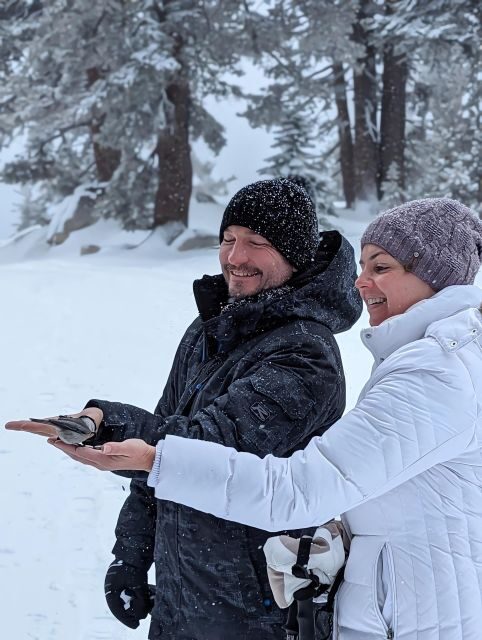 New Washoe City: Chickadee Ridge Beginner Snowshoeing Hike - The Experience: From Trailhead to Ridge and Back