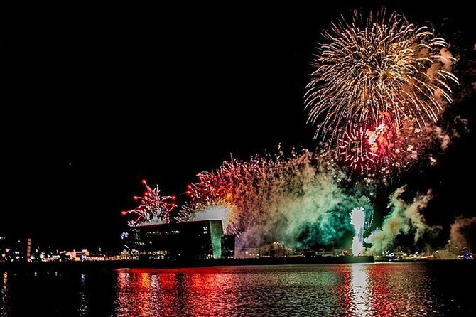 New Years Fireworks by Boat from Reykjavik - Final Thoughts: Is This Tour Right for You?