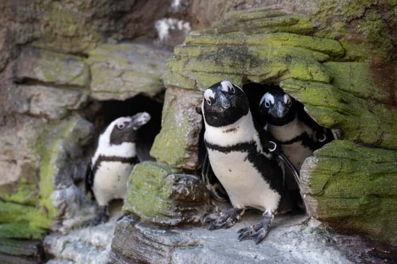 New York Aquarium Entry Ticket - The Sum Up