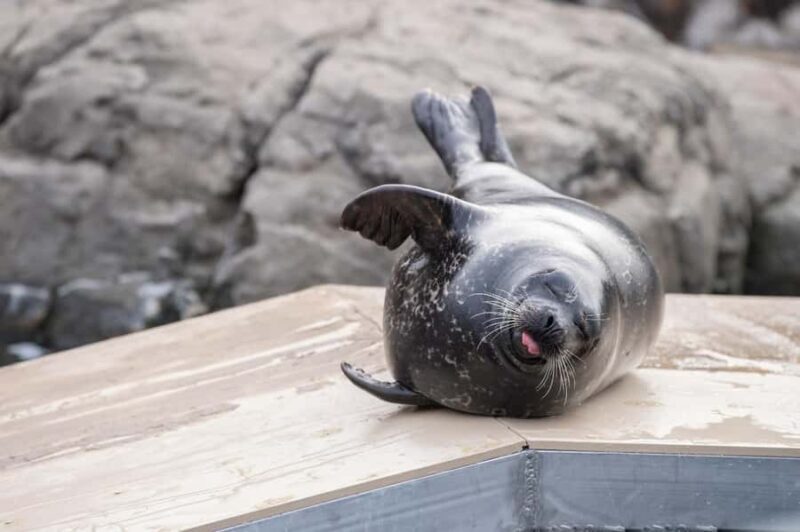 New York Aquarium Entry Ticket - FAQs