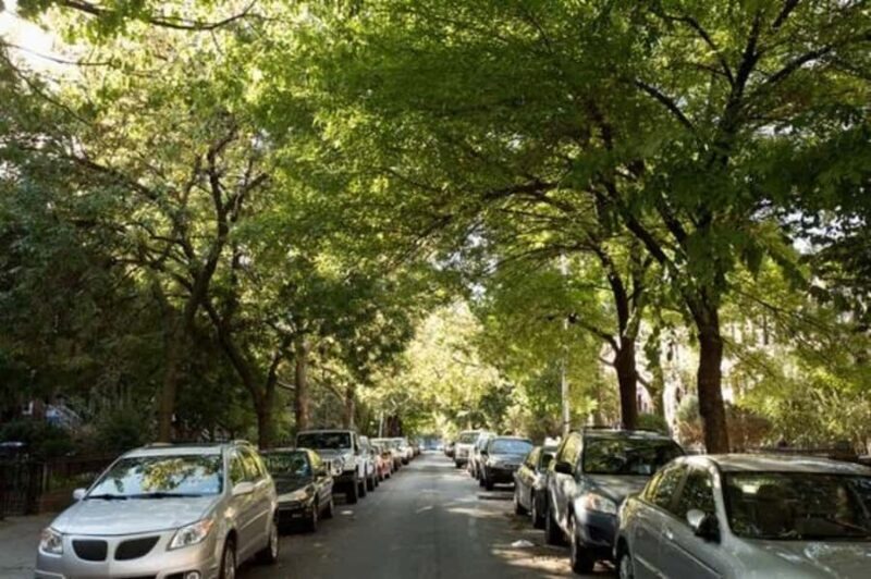 New York: Best Street Food Tour With A Local Guide - Who Should Consider This Tour?