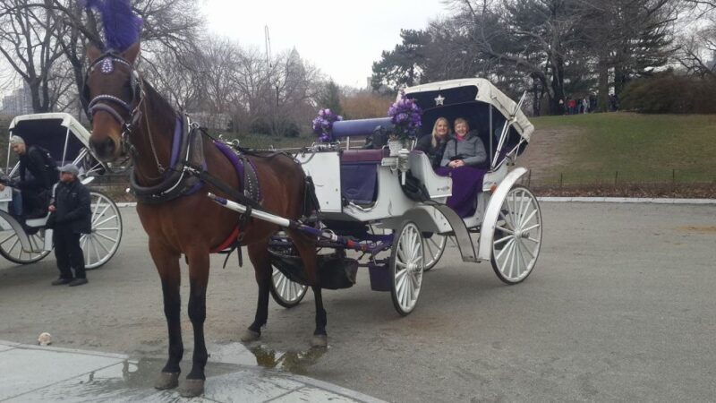New York: Carriage Ride in Central Park - Reviews in Perspective