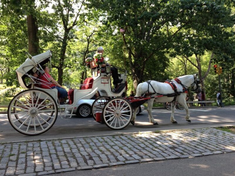 New York: Carriage Ride in Central Park - Who Should Consider This Experience?