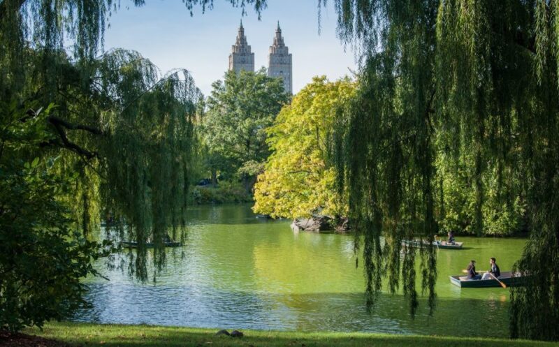 New York: Carriage Ride in Central Park - Final Thoughts