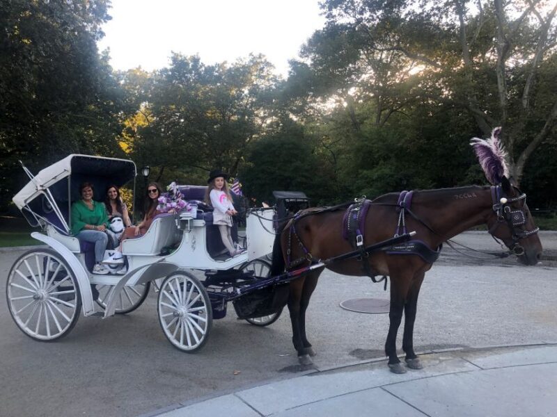 New York: Carriage Ride in Central Park - FAQ