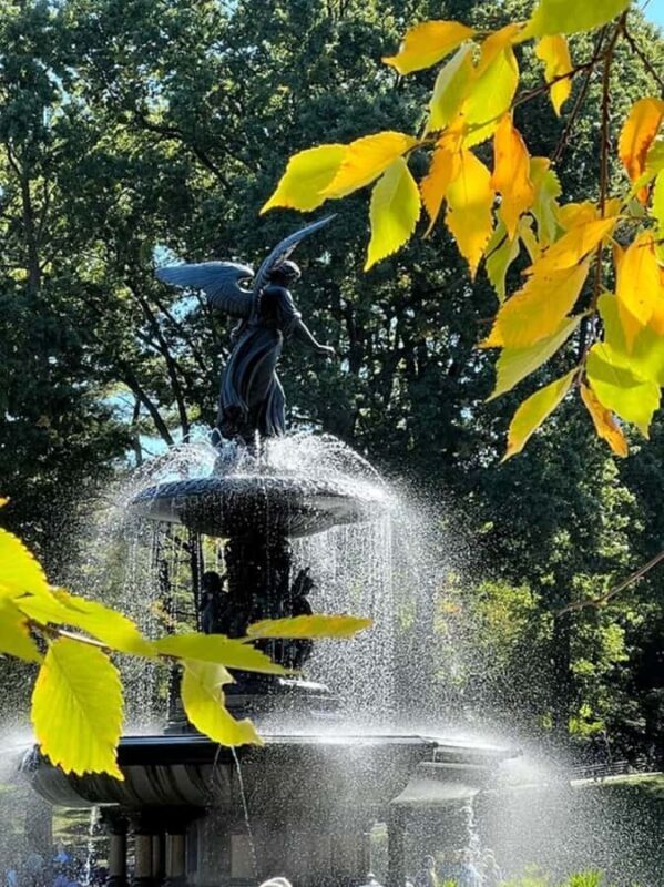 New York: Central Park Selfie Tour with Photographer - Key Points