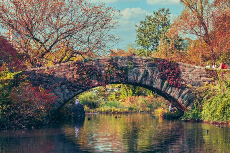 New York: Central Park Small Group Walking Tour - Key Points