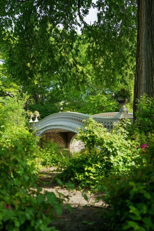 New York: Central Park Small Group Walking Tour - A Deep Dive into the Central Park Small Group Walking Tour