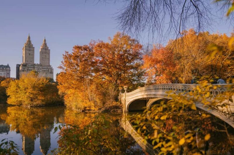 New York: Central Park Small Group Walking Tour - Final Thoughts