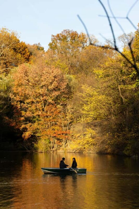 New York: Central Park Small Group Walking Tour - FAQs