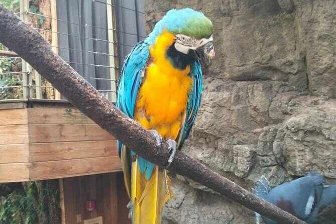 New York Central Park Zoo Ticket - Final Thoughts