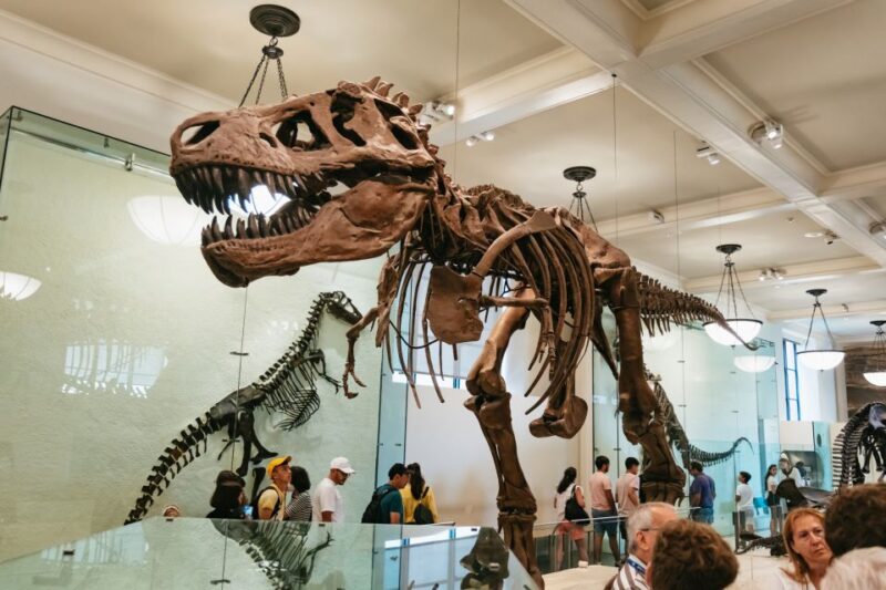 New York City: American Museum of Natural History Ticket - Discover the Wonders of the American Museum of Natural History