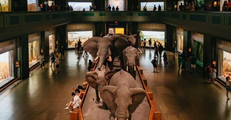 New York City: American Museum of Natural History Ticket - The Sum Up