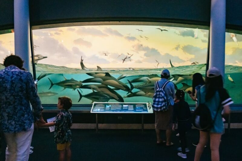 New York City: American Museum of Natural History Ticket - FAQ
