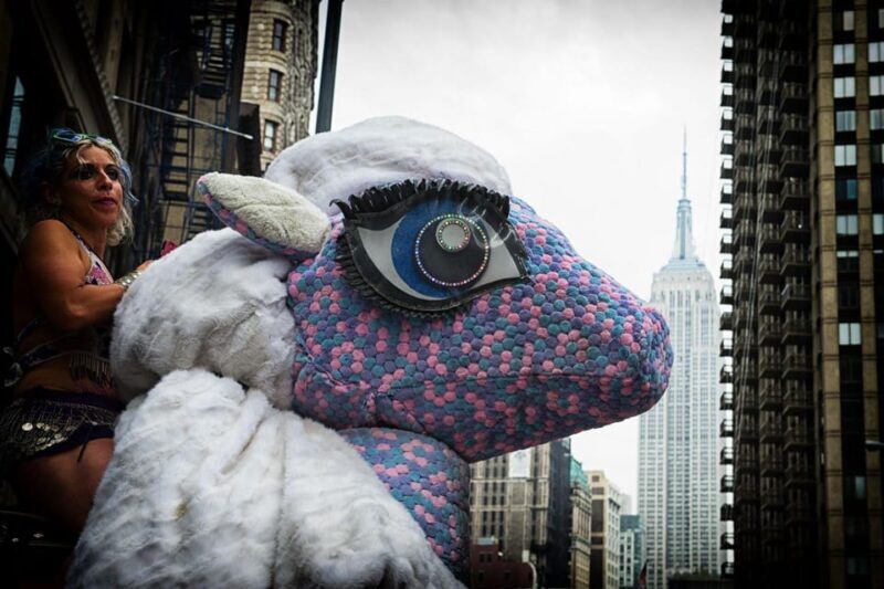 New York City: Any Place Photo Experience - Key Points