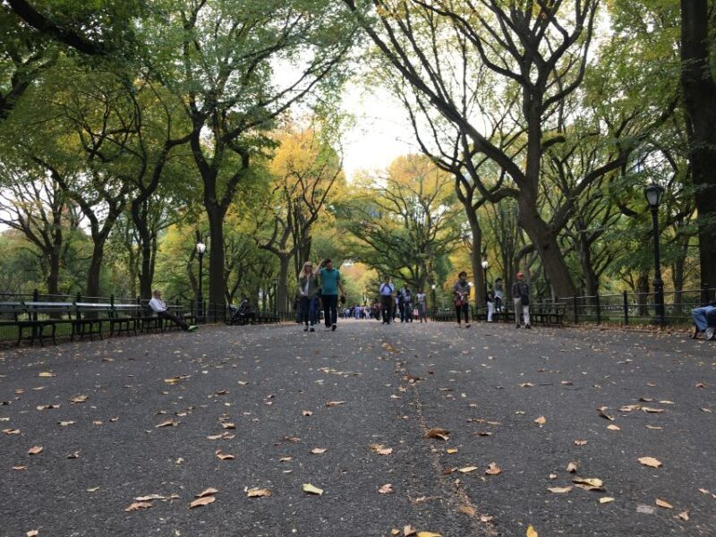 New York City: Central Park Tour by Pedicab - Frequently Asked Questions (FAQs)