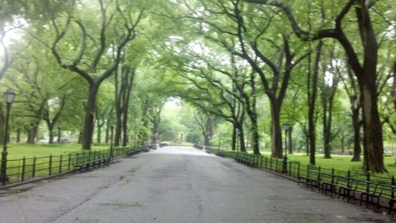 New York City: Central Park Walking Tour - Who Will Love This Tour?