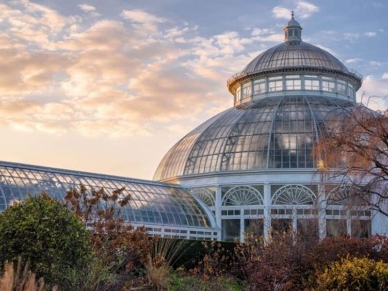 New York City : Central Park Walking Tour With A Guide - Why This Tour Offers Great Value