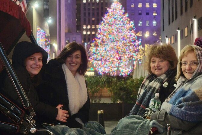 New York City Christmas Lights Private Horse Carriage Ride - What’s Included and What to Expect