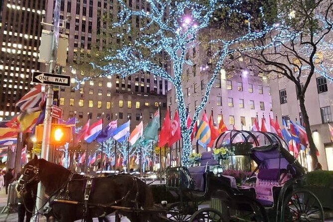 New York City Christmas Lights Private Horse Carriage Ride - Authentic Insights from Past Travelers